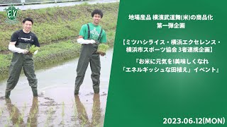 【横浜エクセレンス】『お米に元気を!美味しくなれ「エネルギッシュな田植え」イベント』古河ウェスリー・俊野達彦🌾×🏀