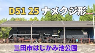 【保存車両巡り⑭】希少❗️D51ナメクジ形 三田市はじかみ池公園のD51 25　2023年5月