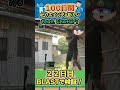 100日間毎日全力30回スイング u0026筋トレfeat.chatgptでどれだけ成長するかblastで検証してみた【22日目】 100日チャレンジ baseball 野球 chatgpt 筋トレ