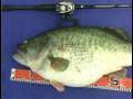 Manabu Kurita World Record Largemouth Bass