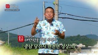 TJB대전빙송 촌거동락 여기가 대한민국면천면 성상1리 편(2019-09-08)