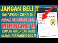 SIMPEL !! PEMULA WAJIB COBA INI - Cara Mendapatkan Subscriber Youtube Gratis