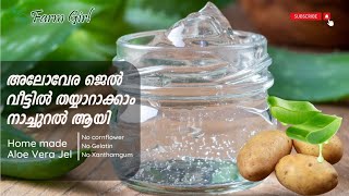 കറ്റാർവാഴ ജെൽ വീട്ടിൽ തന്നെ ഉണ്ടാക്കാം|Aloe vera Gel at home| #aloeveragel #shorts #aloevera