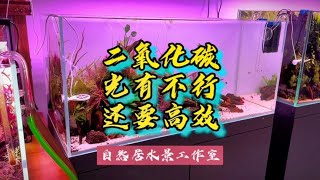 高效的二氧化碳扩散装置#玻璃缸中的大自然 #鱼缸造景 #草缸~家庭和办公室的大自然【自然居水景记】