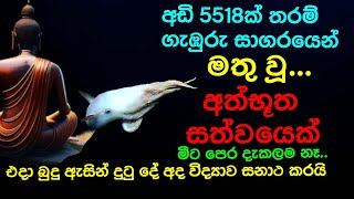 අඩි 5518ක් ගැඹුරු සාගරයේ අත්භූත සත්වයෙක් | මීට කලින් දැකලම නෑ #dhammagayawa