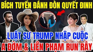 CHẤN ĐỘNG: Bích Tuyền Chốt Hạ Luật Sư Của Trump - A Đàm và Liên Phạm Bị Đẩy Vào Đường Cùng?