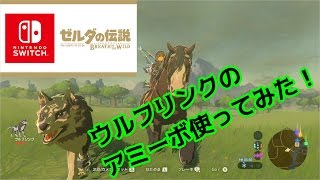 【Nintendo Switch】【ゼルダの伝説　B O T W】ウルフリンクのアミーボ使ってみた！