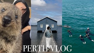 solo in perth🦘snorkelling w dolphins, rottnest island, fremantle, kings park, kangaroo island