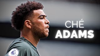 Ché Adams - Season Highlights | 2023