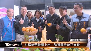 柑橘草莓酸甜上市  訪獅潭旅遊正當時│T-NEWS聯播網