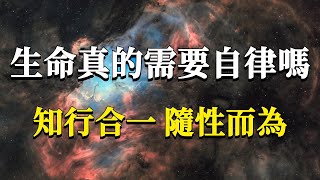 為什麼說生命不需要自律？你以為的自律可能只是欲望之間的權衡而已！知行合一，隨性而為。#能量#業力 #宇宙 #精神 #提升 #靈魂 #財富 #認知覺醒 #修行