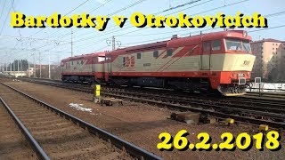 Bardotky v Otrokovicích 26.2.2018