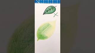 How to draw Realistic Leaf- Step by Step #drawing #viral #art #shorts #pencil #creative #easy