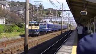 ブルトレ親子体験号　大磯駅通過（貨物線）　EF65-501+24系+EF65-1115