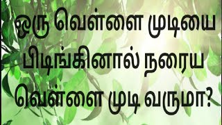 # ஒரு வெள்ளை முடியை பிடிங்கினாள் நறைய வெள்ளை முடி வருமா? #