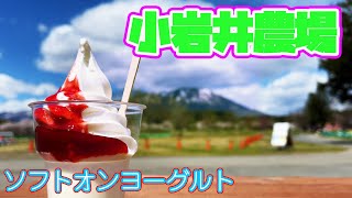 春の小岩井農場をひとり歩き【岩手県】