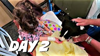 HOSPITAL THERAPY DOGS | July 2, 2016 | Alyssa All Day