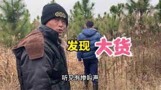 农村人野外树林里感觉不对劲，走近听到惨叫声，这货真的大