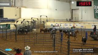 2020 AQHA Select Ranch Sorting