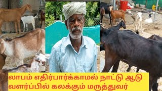 லாபம் எதிர்பார்க்காமல் நாட்டு ஆடு வளர்ப்பில் கலக்கும் மருத்துவர்#goatfarming#goatfarmingtips