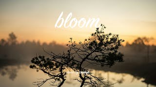 LiQWYD - Bloom [Official]