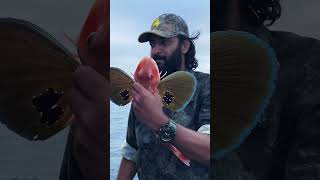 അടിപൊളി hunting , fishing പിന്നെ cooking കാണാൻ നമ്മുടെ ചാനൽ ഒന്നു കേറി നോക്കണേ 🦌 #shorts #cooking