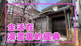 經典日式庭院一戶建 生活在漫畫里