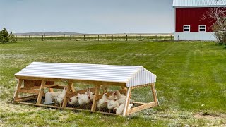 Doing THIS Gave Us the Best Meat Chickens Ever | Butchering Chickens