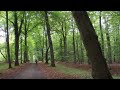 Sachsenwald - Musik von Hilton Schilder