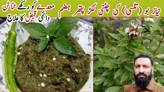 Niazbo Ki Chatni Recipe | Basil Leaves Sauce (Chatni)  By KFS | Tulsi Ki patoo ki Chatni