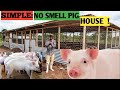 Cost Of Building No-SMELL PIG HOUSE // Simple And Secure!