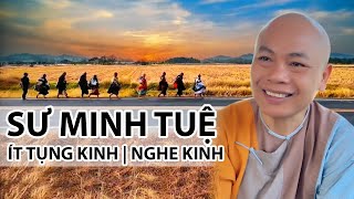 SƯ MINH TUỆ ÍT TỤNG KINH | NGHE KINH | SƯ MINH ĐẠO#suminhtue #suminhdao #phatphap #phatphapnhiemmau