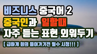 비즈니스 중국어회화2 ㅣ미팅과 회의 때 자주 쓰이는 실전 중국어표현 학습