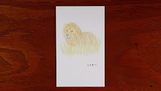 ライオンを描いていく | 動物園シリーズ | Lion