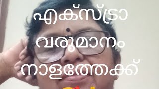 എക്സ്ട്രാ വരുമാനം| Cs Talkies| malayalam