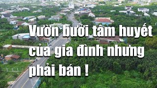 Chị Nga quá khó khăn nên cần bán gấp khu đất vườn tâm huyết của Gia đình tại Đồng Nai - Lộc BĐS