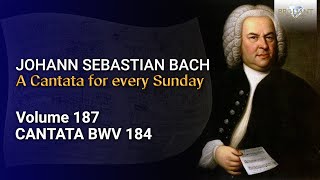 J.S. Bach: Erwünschtes Freudenlicht, BWV 184 - The Church Cantatas, Vol. 187