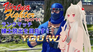 [22時まで]バーチャファイターe-sports ランクマッチ[Vtuber]