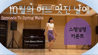 10월의 어느 멋진 날에 🍁 Serenade To Spring Waltz || Step Count || 초급 왈츠 Beginner Waltz