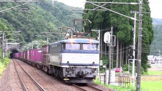 JR貨物EF81-453号機  コンテナ車  南今庄駅通過