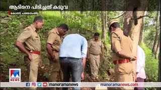 ആടിനെ പിടിച്ചത് കടുവ; പോസ്റ്റ്മോർട്ടത്തിലാണ് കടുവയെന്ന് കണ്ടെത്തിയത്​| Pathanamthitta| Goat