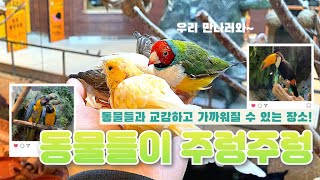 [서울여행] 애니멀 테마파크 실내동물원 주렁주렁 영등포 방문 소개