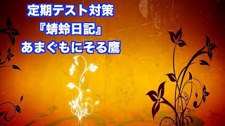 JTV定期テスト・受験対策『蜻蛉日記』あまぐもにそる鷹