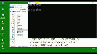 WinSCP, Python, FTP and relay protection