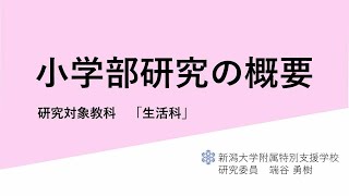 研究の概要（小学部）