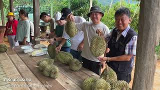 สัมภาษณ์นายกจ๋อม กับแนวคิดที่หันมาปลูกทุเรียน พื้นที่อำเภอฝาง