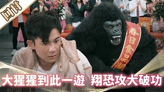 《好戲回甘》市井豪門 EP203 大猩猩到此一遊  翔恐攻大破功