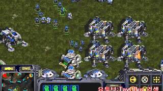 [TayOBus Terran] 15년 5월 2일 방송, 전략의 역효과, Starcraft Brood war, Broadcasting Gameplay