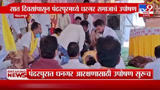 Pandharpur | सात दिवसांपासून पंढरपूरमध्ये धनगर समाजाचं उपोषण | tv9 Marathi