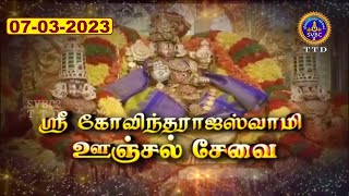 Sri Govindarajaswamy vari || Unjalseva || Tirupati || SVBC2 TAMIL || 07-03-2023 || SVBC TTD